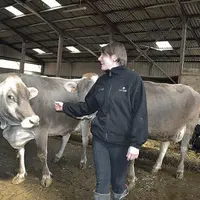 Pour Muriel, cette vache a une jolie couleur. La jeune femme évoque aussi sa facilité de traite et sa gentillesse.