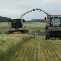 L’ensilage ou l’enrubannage de céréales immatures est possible sur les secteurs d’altitude.