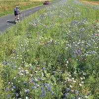 Surfaces agricoles, jardins particuliers et publics, abords des voies de circulation, zones industrielles et commerciales peuvent accueillir des végét