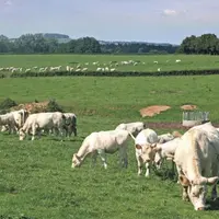 8 218 exploitations sont désormais certifiées HVE, selon les chiffres du ministère de l’Agriculture. Ce dernier envisagerait de remanier les voies d’a