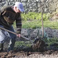 Évolution des retraites agricoles, depuis la création d'un régime de retraite de base en 1955 jusqu'à nos jours.