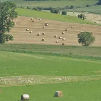 La crise sanitaire a donné un sérieux coup de frein au marché foncier rural en 2020 en termes d'étendue des surfaces échangées, mais pas en termes de