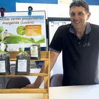 De plus en plus d'agriculteurs lozériens se mettent à exploiter la lentille en bio. Sa facilité d'implantation et son intérêt agronomique en font une