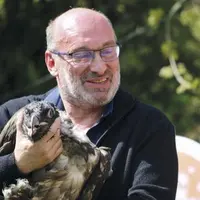 Lundi 9 mai, le parc naturel des Cévennes a procédé au lâcher de deux gypaètes barbus, l'aboutissement d'un patient travail construit autour du progra