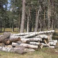 Le 23 septembre à Mende s'est tenue l'assemblée générale de l'association des collectivités forestières de Lozère.