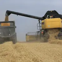 Les récoltes s’annoncent très mauvaises, notamment pour le blé.