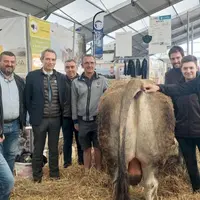 Du 3 au 6 octobre a eu lieu la 32e édition du sommet de l'élevage à Cournon. L'occasion pour les Lozériens de montrer leurs savoir-faire, tant sur les