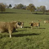 L’association Paysans bio d’Aveyron (PBA) est à l’origine, en lien avec d’autres collectifs d’éleveurs régionaux, de la création de la marque commerci