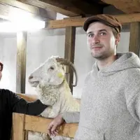 Au coeur du massif du Sancy, Noémie Guittard et Marc Persiani élèvent une cinquantaine de chèvres Angora dans la pure tradition d'un métier en perditi