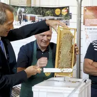 Mercredi 31 août, le syndicat d'apiculture de la Lozère a procédé à une première récolte de la ruche installée ce printemps dans les combles du bâtime