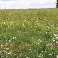 Certains agriculteurs lozériens, à l'occasion des télédéclarations Pac 2023, ont découvert avec surprise, que leurs parcelles ont été désignées « prai
