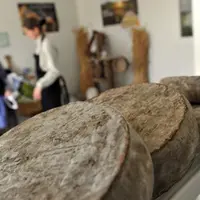 Les produits traditionnels et sous signe d'identification de qualité et d'origine en Occitanie (AOC, Label Rouge, IGP...) pourraient être menacés par