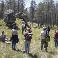 Après deux éditions en 2018 et 2021, le parc national des Cévennes (PNC) et le centre régional de la propriété forestière (CNPF) ont organisé une nouv