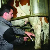 Yannick Navarro a décidé en 2009, année de crise laitière, de parier sur la transformation fromagère.