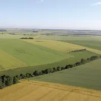 Pour la prochaine Pac, les Régions de France demandent que certaines mesures agroenvironnementales (MAEC) soient distribuées indépendamment des surfac