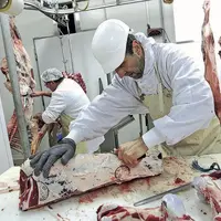 Trois solutions (atelier individuel, atelier collectif, prestataire) s’offrent aux producteurs de viande pour transformer leurs produits. À chacun sa