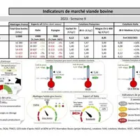 Comme chaque mercredi, voici les indicateurs de marché viande bovine, proposés par la FNB pour faciliter la lecture du marché de la viande bovine par