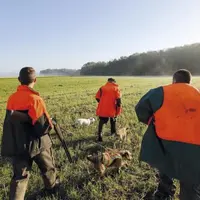 La fédération de chasse de Lozère a décidé, depuis plusieurs années déjà, de mettre l'accent sur la sécurité et la formation pour que la chasse se pas