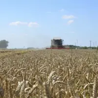 Selon l'OCDE, les aides couplées et découplées soutiennent une production agricole effrénée, émettrice de gaz à effet de serre. Aussi, l'adaptation au