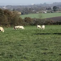 Fin novembre, la section nationale des fermiers et métayers (SNFM) de la FNSEA était à Bordeaux pour faire le point sur l'actualité de la section avan