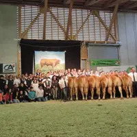 Les participants au concours inter-régional de la race Limousine, les 26 et 27 octobre 2013 à Aumont-Aubrac.