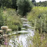 Si les débits sont encore au-dessus des seuils de vigilance, les fortes chaleurs et le déficit hydrique de ces derniers mois font craindre le déclench