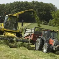 Les chantiers d’ensilage d’herbe peuvent être réalisés en Cuma