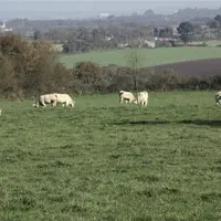 Annulée en 2020 pour cause de Covid, la rentrée syndicale de la FNSEA Nouvelle-Aquitaine a eu lieu le 30 août sur l’exploitation noix et bovins viande