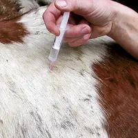 Des éleveurs et des vétérinaires s'inquiètent des conséquences possibles de l'arrivée des groupes d'investissement sur le marché de la médecine vétéri