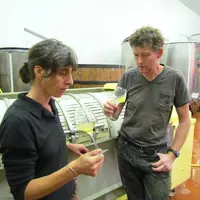 Premier test gustatif, le lendemain des vendanges.