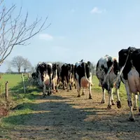 La Stratégie nationale sur la biodiversité a été proposée à la concertation le 20 juillet. Elle comprend 39 mesures à mettre en oeuvre d'ici 2030, don
