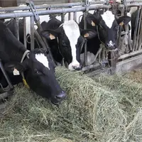 C'est à huis clos, sans déclaration publique, que les membres du gouvernement ont annoncé de premières aides d'urgence pour les agriculteurs bio susce