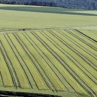 Dans le volet bio de la déclinaison française de la future Pac (PSN), le ministre de l'Agriculture avait donné la priorité aux conversions. Mais les c