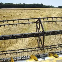Les pluies abondantes de juillet ont impacté la qualité des céréales. En revanche, les rendements sont nettement supérieurs à la moyenne quinquennale