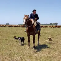 À cran à la suite d'une sécheresse historique, les agriculteurs de la région pampéenne veulent peser de tout leur poids dans la campagne électorale na