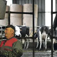 Le prix du lait payé aux producteurs ne cesse de diminuer.
