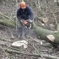 Pour utiliser une tronçonneuse, un équipement spécifique de protection est indispensable.