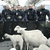 Les manifestations d’agriculteurs donnent parfois de bien étranges rencontres et les photographes ne se privent pas de les immortaliser.