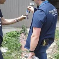 Lundi 28 juin, les techniciens d'élevage bovin lait et bovin viande de la chambre d'agriculture se sont retrouvés pour harmoniser leurs connaissances