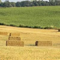 Alors que le secteur agricole européen est vivement secoué par la crise ukrainienne, la Commission européenne a soumis aux États membres de nouvelles