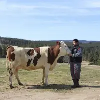 Romain Salgues et Joyeuse, du Gaec du Nord Lozère.