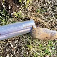 Sur une parcelle à Malbouzon ou il y a une grande présence de campagnols sur des prairies. Le moyen de lutte est le piège TopCat qui est compris dans