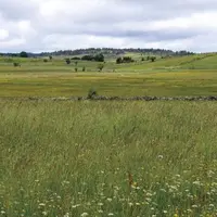 Certains agriculteurs lozériens, à l'occasion des télédéclarations Pac 2023, ont découvert avec surprise, que leurs parcelles ont été désignées « prai