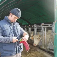 Maël Delphin-Poulat a fait le choix, en 2014, d’installer ses vaches dans un tunnel.