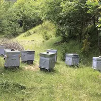 Apiculteurs et agriculteurs se sont réunis autour de la table pour discuter des pratiques que les uns et les autres pourraient adopter, afin de ne pas