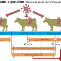 Si l’arrêté ministériel portant acte du plan est paru le 31 juillet 2019 au JO, 2020 est l’année de la systématisation du plan.
