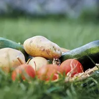 Après avoir répondu aux inquiétudes italiennes sur la viande rouge et les boissons alcoolisées, la Commission européenne a adopté, le 17 novembre, le