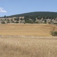 La FRSEA et Jeunes agriculteurs Auvergne-Rhône-Alpes alertent dans un communiqué le 25 août, sur le manque d'eau dont souffrent les cultures cette ann