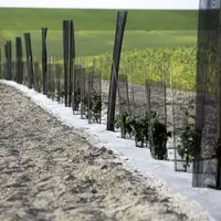 Le ministre de l'Agriculture a annoncé mi-novembre son envie de travailler sur la haie, alors que les crédits du Plan de relance s'arrêtent, et que le