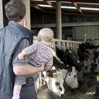 Les Jeunes agriculteurs ont dévoilé leurs propositions sur le Pacte et la Loi d'orientation et d'avenir agricoles, formalisées notamment dans un livre